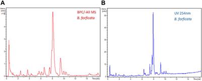 Chromatography Conditions Development by Design of Experiments for the Chemotype Differentiation of Four Bauhinia Species